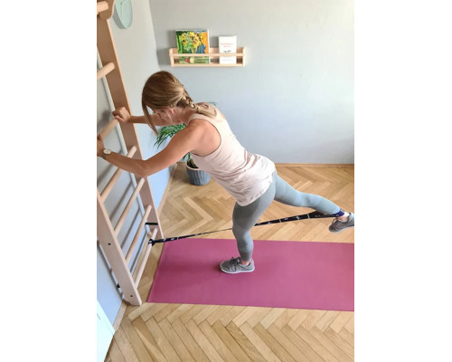 Шведська стінка BenchK 220 x 67 см