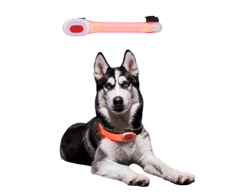 Собачий нашийник LED Light Petsaber Mini Собачий нашийник LED Light Petsaber Mini
