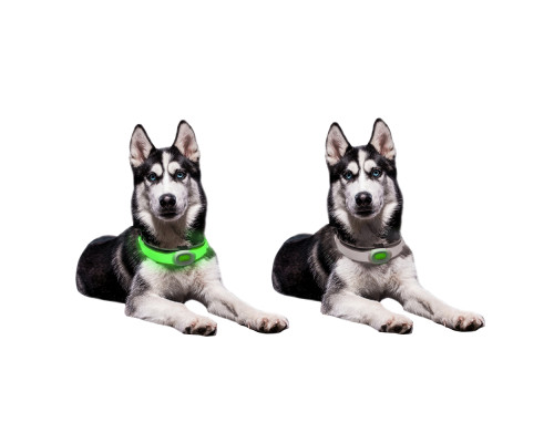 Собачий нашийник LED Light Petsaber Maxi Собачий нашийник LED Light Petsaber Maxi