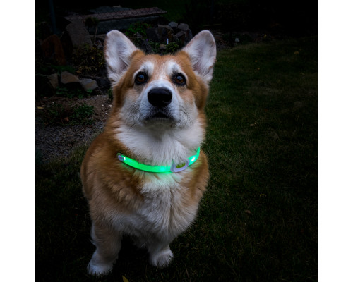 Собачий нашийник LED Light Petsaber Maxi Собачий нашийник LED Light Petsaber Maxi