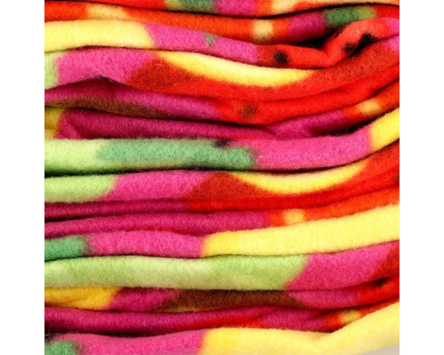 Килимок для пікніка NILS CAMP NC2223 200 х 200 см, різнокольоровий