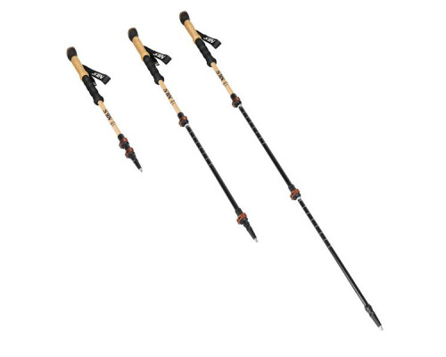 Трекінгові палиці HMS TK8606