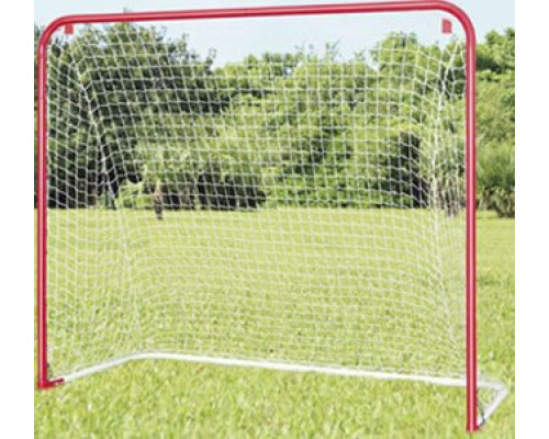 Хокейні ворота ABS Hockey Goal 54