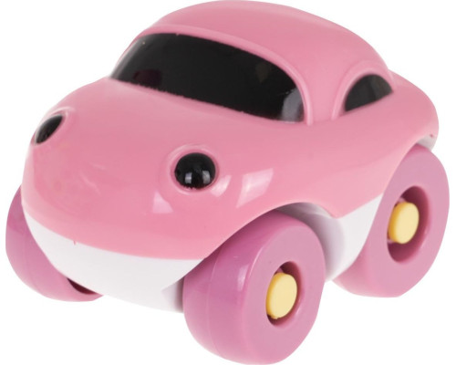 Багатофункціональний Рожевий дім