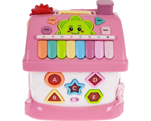 Багатофункціональний Рожевий дім