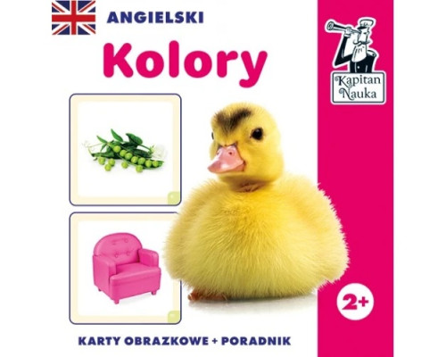 Дитяча розвиваюча гра «Англійські кольори» 3+