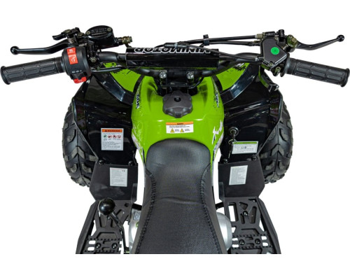 Дитячий акумуляторний квадроцикл RENEGADE HIPERFECT 110CC Зелений