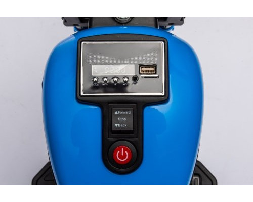 Дитячий акумуляторний мотоцикл BMW S1000 RR Mini