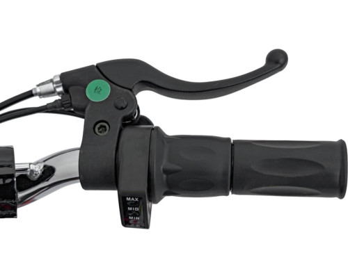 Дитячий акумуляторний мотоцикл RENEGADE 50R Зелений