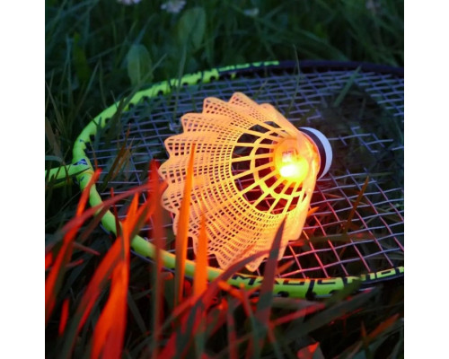 Набір для бадмінтону Talbot Torro Magic Night 449405, чорно-зелений