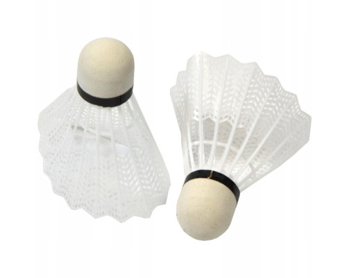 Набір для бадмінтону ENERO 500, синьо-зелений