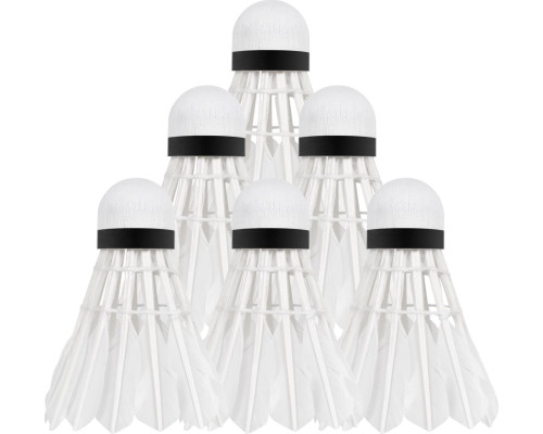 Волани для бадмінтону пір'яні Rebel Active RBA-4103, 6 шт